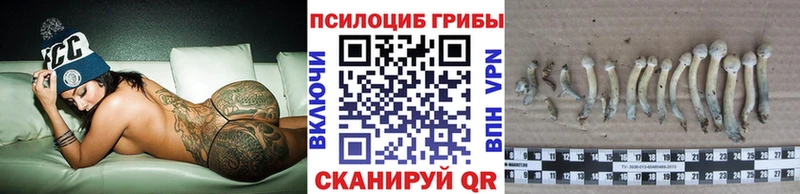 Псилоцибиновые грибы Psilocybe  купить наркоту  Дмитриев 